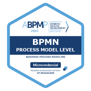BPMN Process Model Level