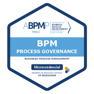 BPM Process Governance