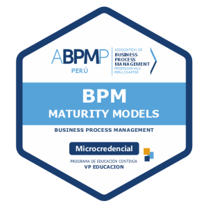 BPM Maturity Models