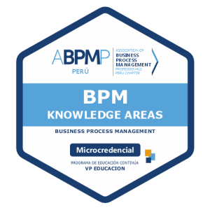 BPM Knowledge Areas